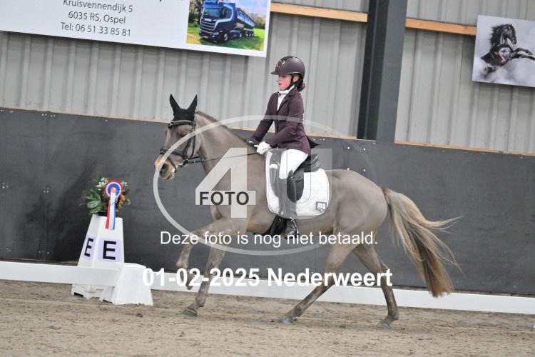 250201 0082