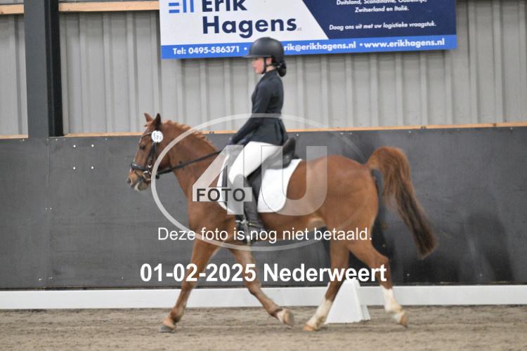 250201 0103