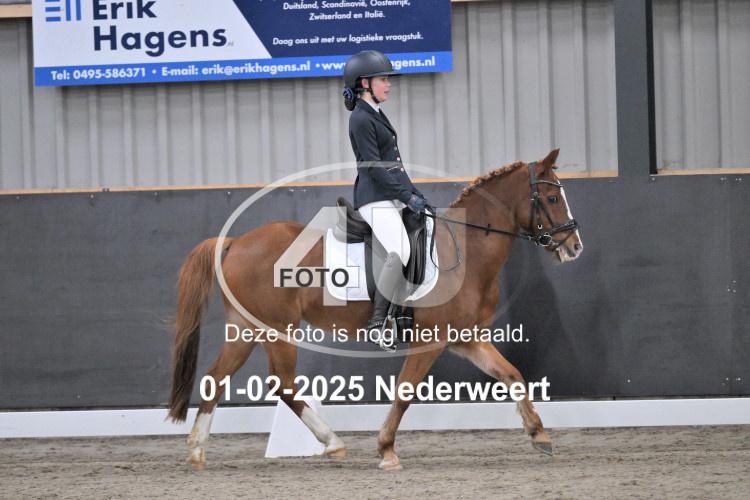250201 0111