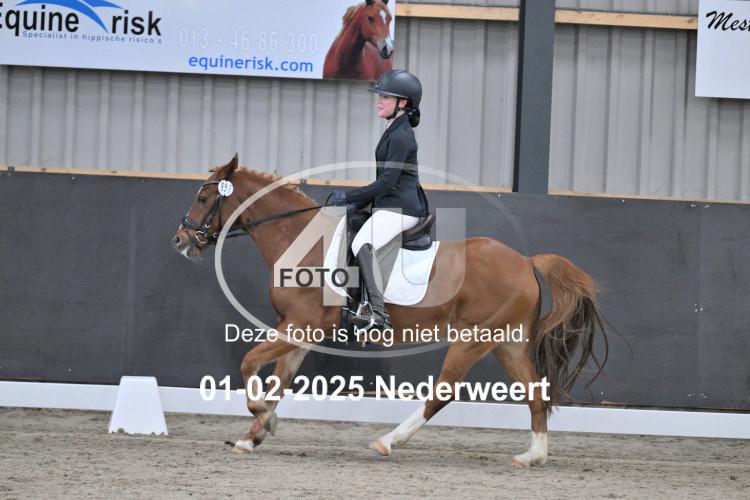 250201 0143