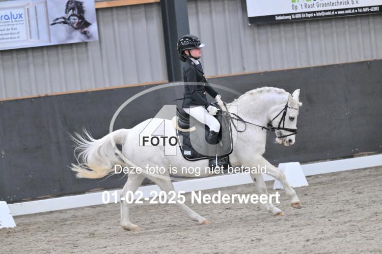 250201 0190