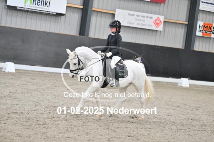 250201 0206