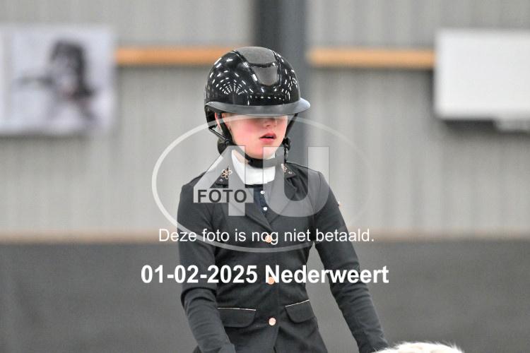 250201 0219