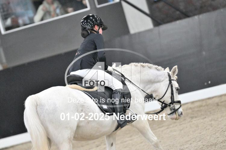 250201 0223