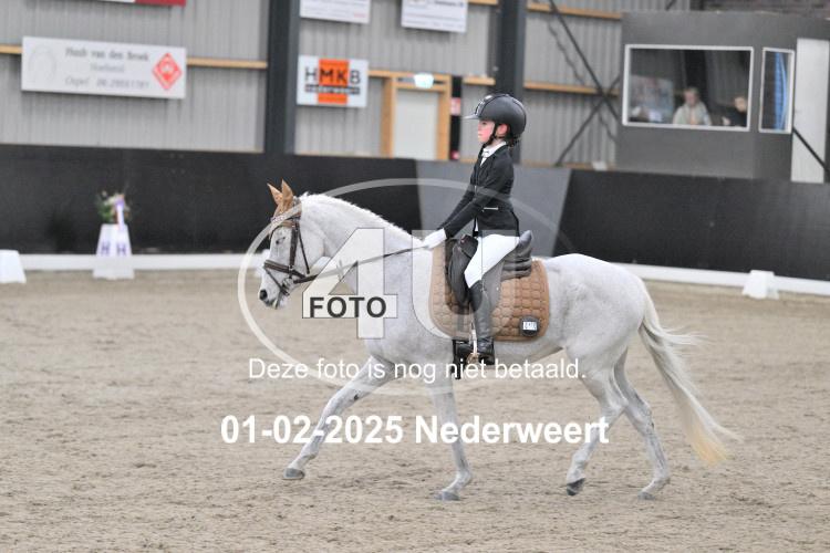 250201 0243