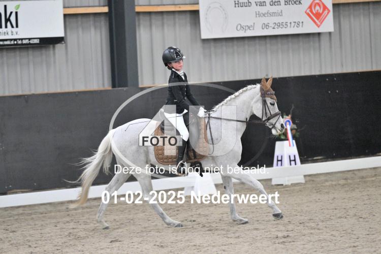 250201 0246