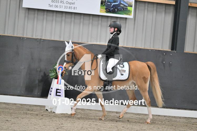250201 0290