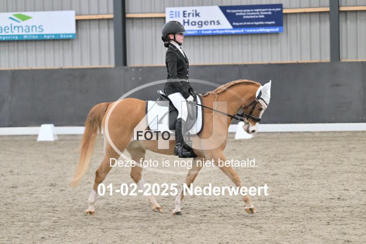 250201 0295