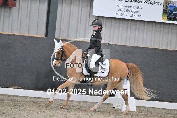 250201 0316