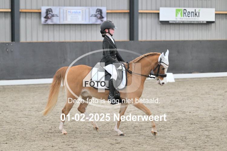 250201 0333