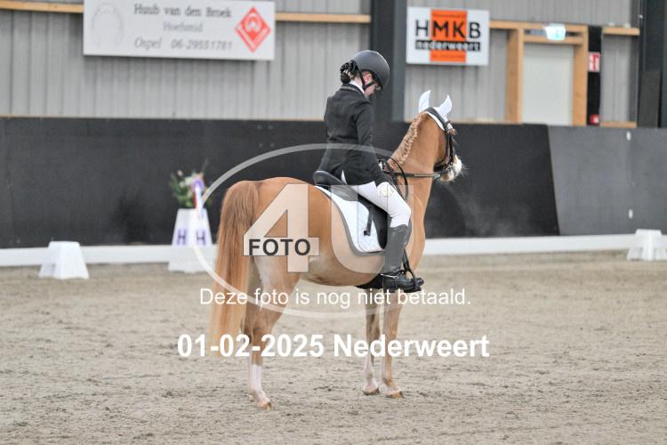 250201 0335