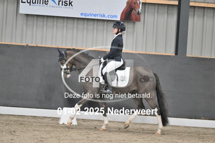 250201 0350