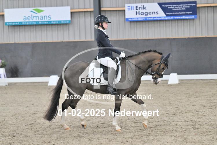 250201 0357
