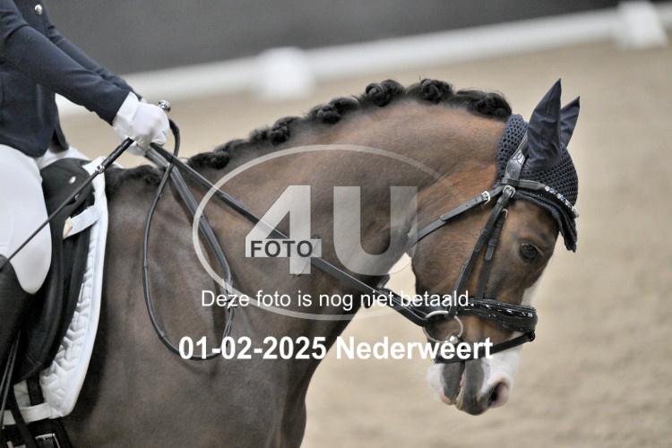 250201 0374