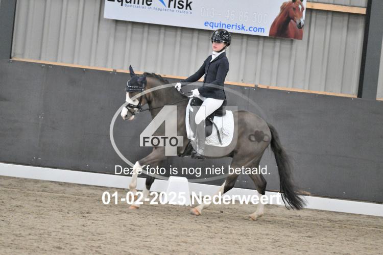 250201 0377