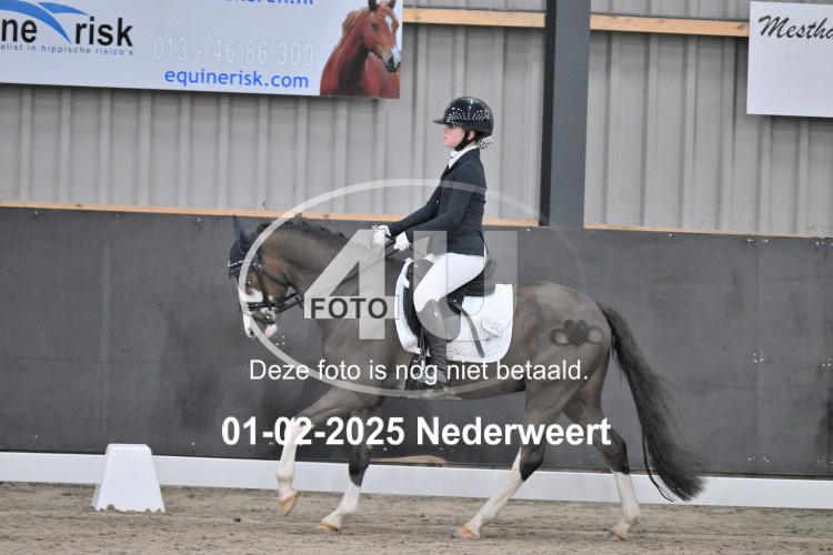 250201 0381