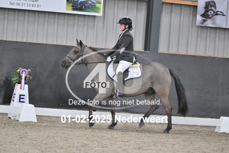 250201 0401