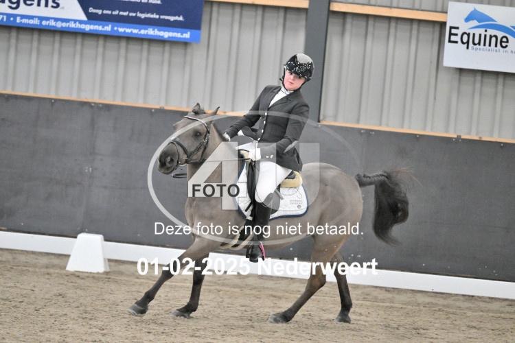 250201 0421