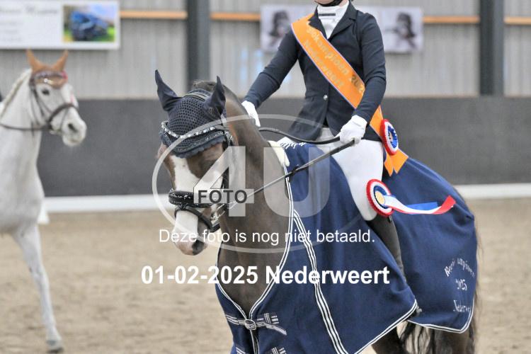 250201 0481