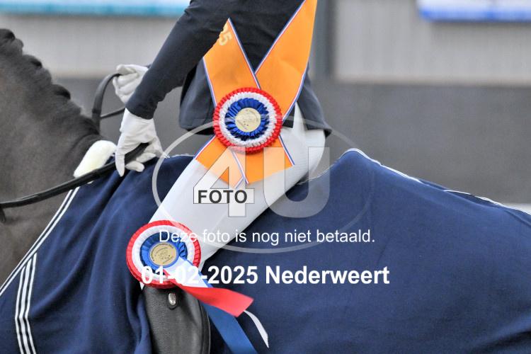250201 0482