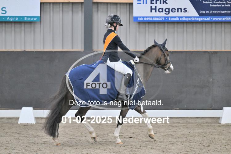 250201 0493