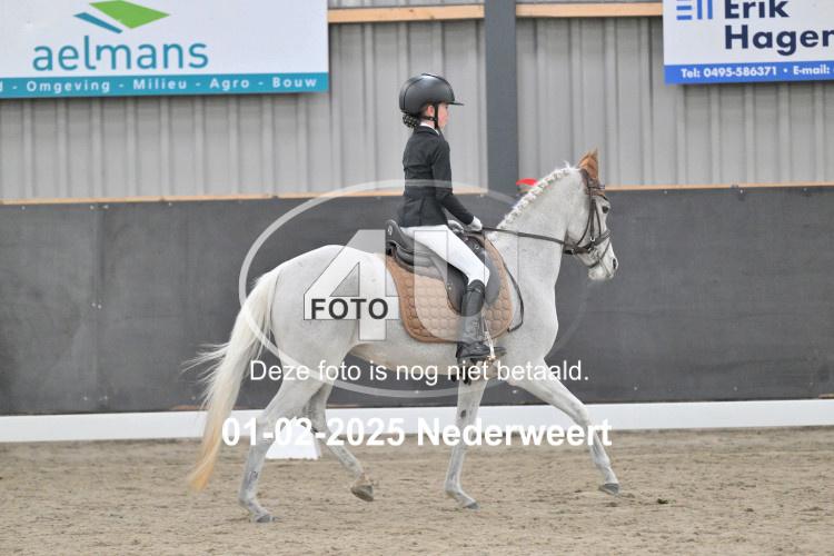 250201 0495