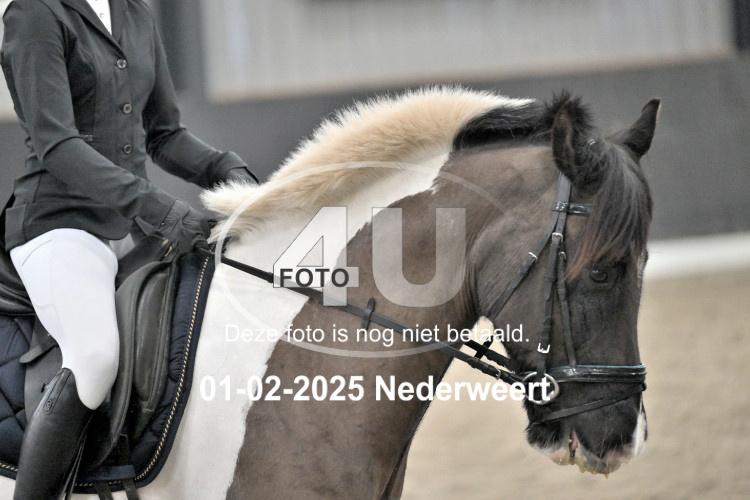 250201 0589
