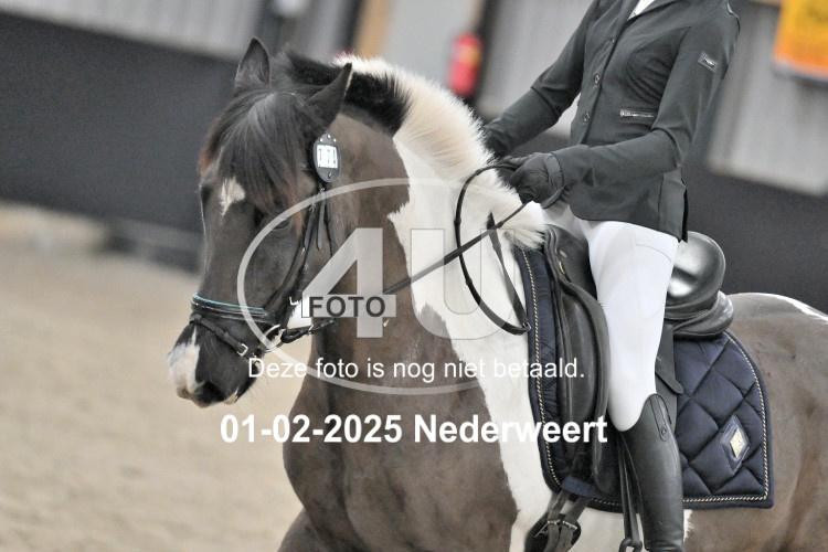 250201 0600