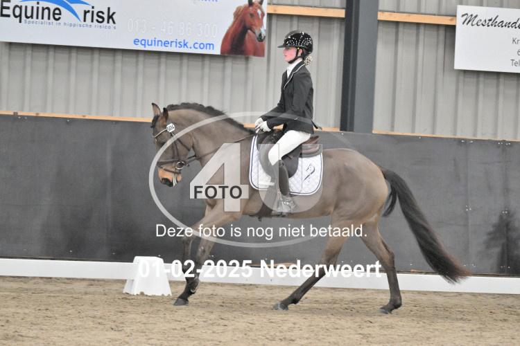 250201 0674