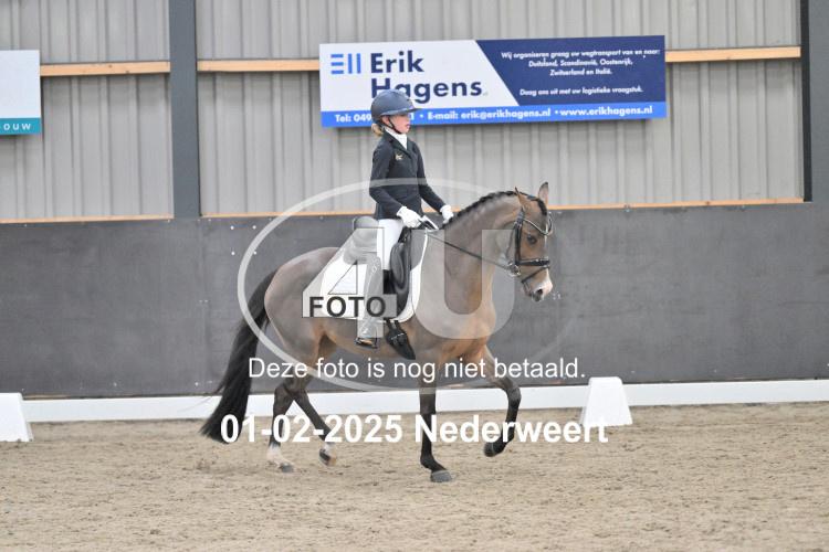 250201 0742