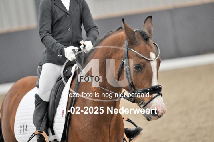 250201 1325