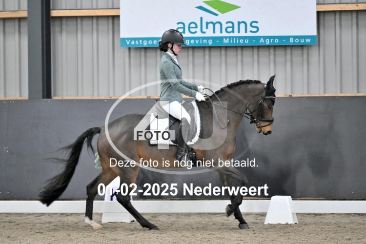 250201 1768