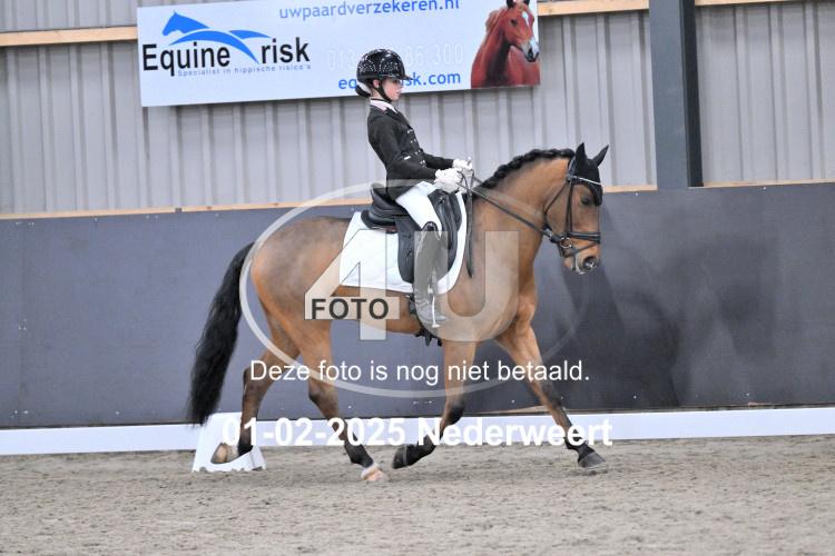 250201 1844