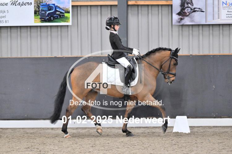 250201 1847