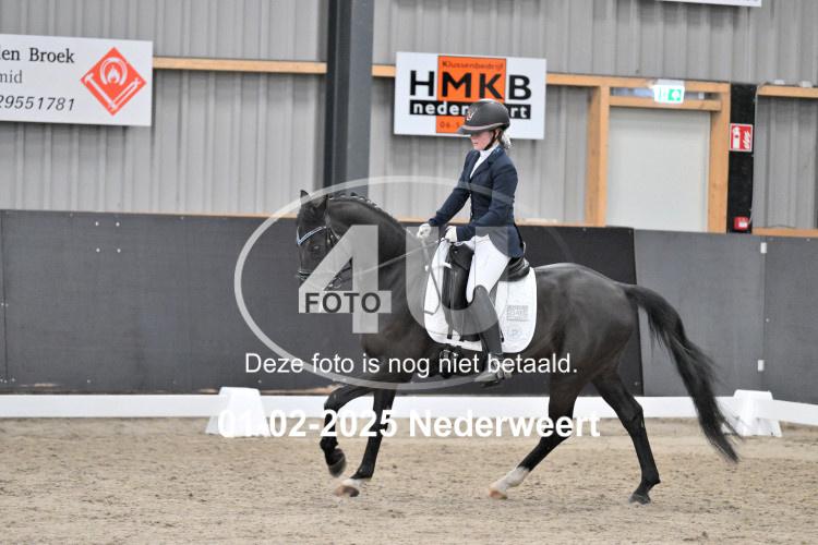 250201 1951