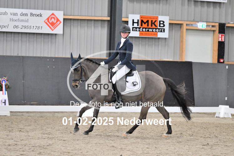 250201 2003