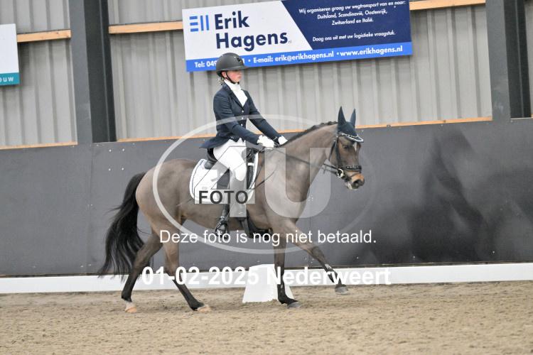 250201 2015
