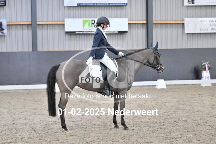 250201 2021