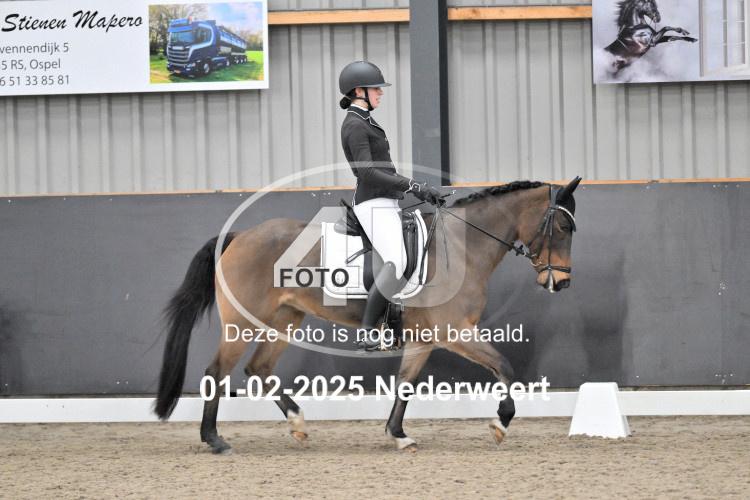 250201 2033