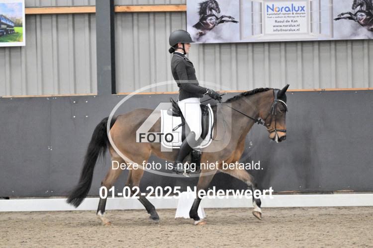 250201 2034