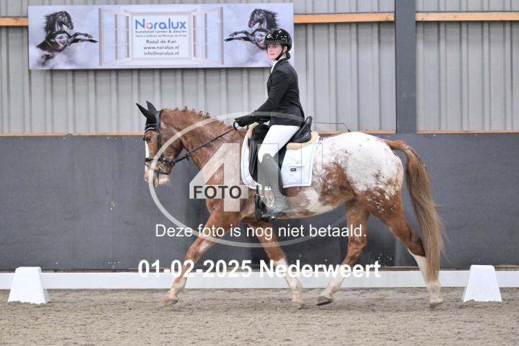 250201 2081