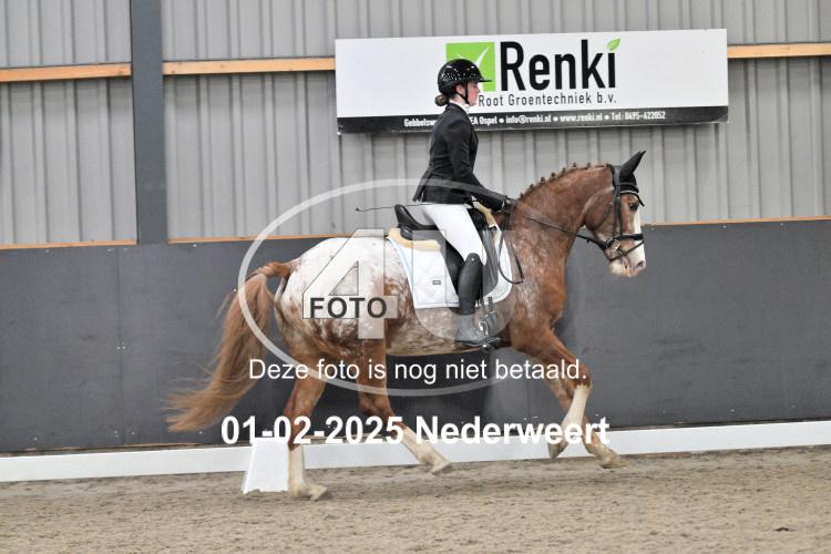 250201 2125