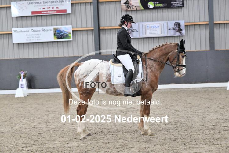 250201 2129