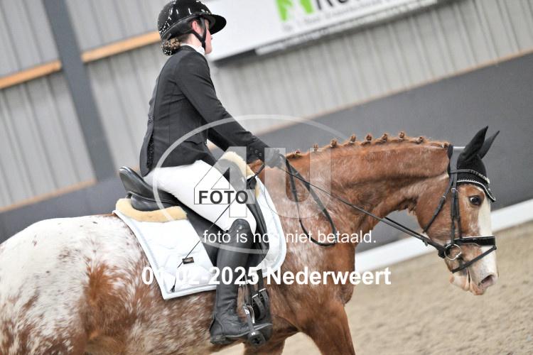 250201 2132