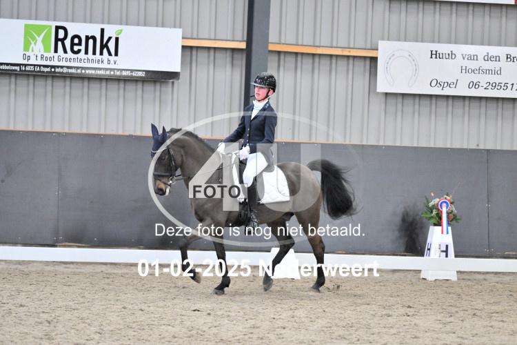 250201 2133