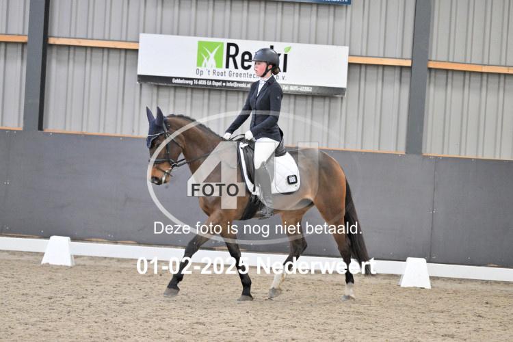 250201 2319