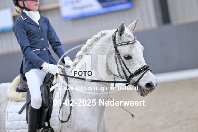 250201 2363