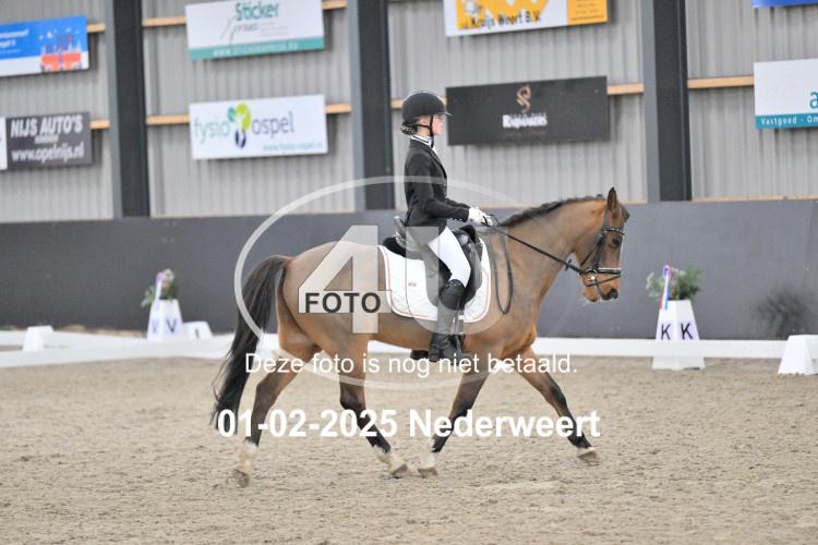 250201 2412