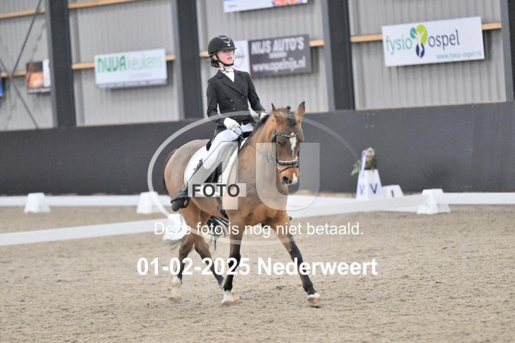 250201 2420