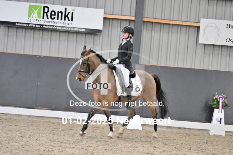 250201 2431